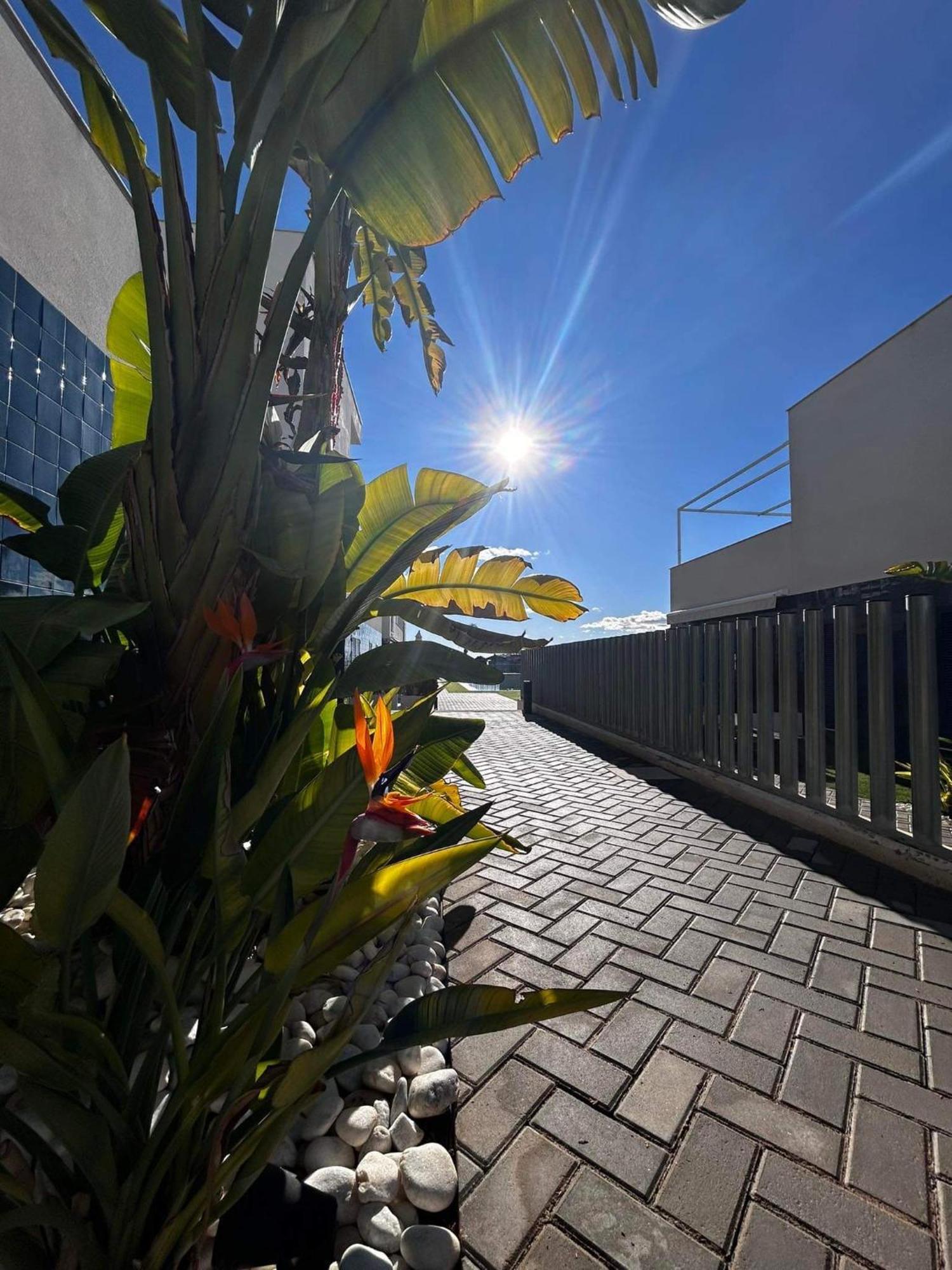 Turquesa Del Mar - Max Beach Golf - Ground Floor Apartment Playa Flamenca Eksteriør billede